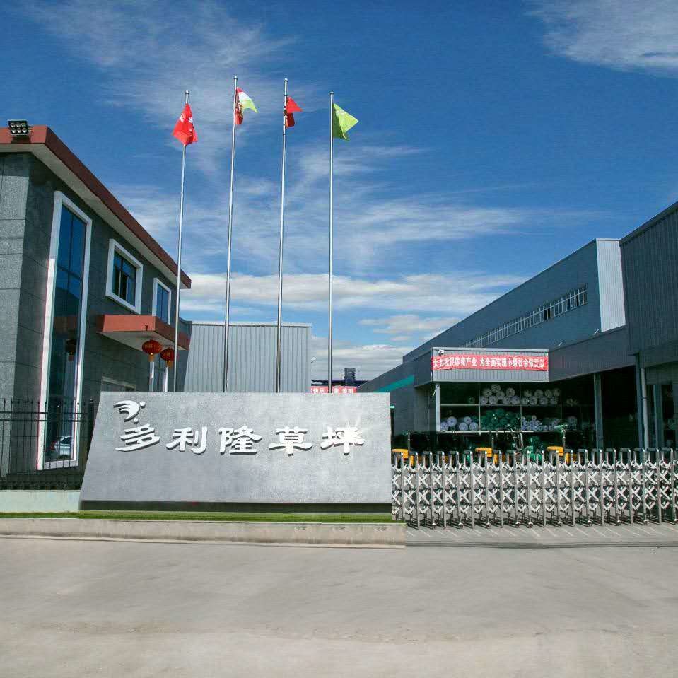 China Dorelom artificial grass group co,ltd. Perfil da companhia