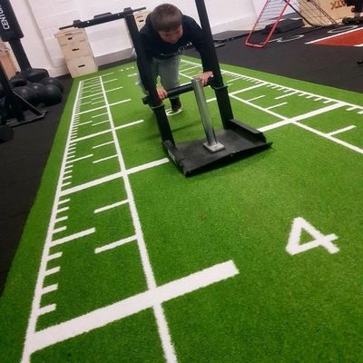 Green 15mm Pile Height Artificial Turf Grass Mat para ginásio comercial