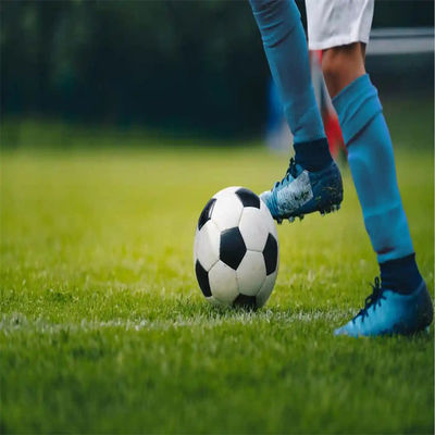 PE Campo de futebol verde de mini campo de futebol de grama artificial para pisos de campo de futebol