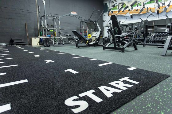 Dorelom Fitness Grama Tapete Piso Preto Arco-íris Azul sintético Falsos gramado ginásio Erva artificial para fitness