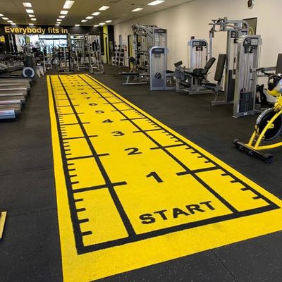 Dorelom Fitness Grama Tapete Piso Preto Arco-íris Azul sintético Falsos gramado ginásio Erva artificial para fitness