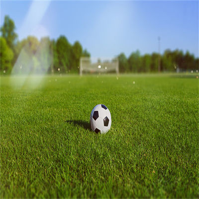 Grama de futebol natural sem preenchimento de 50 mm e 60 mm para estádios de futebol e ginásios