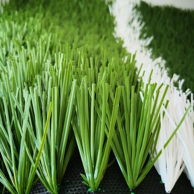 20 pontos/m Taxa de pontos 55 mm Erva artificial para campo de futebol Erva sintética