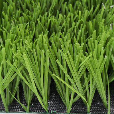 Campo de futebol Forma W Bicolor Resistente a UV PE Monofilamento Erva artificial