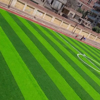 Campo de futebol Forma W Bicolor Resistente a UV PE Monofilamento Erva artificial