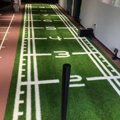 Desporto Outras relvas artificiais Paisagem para golfe Campos de futebol Ginásio Erva sintética