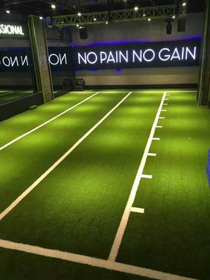 Piso desportivo Balança de fitness Treinamento Erva artificial para ginásio