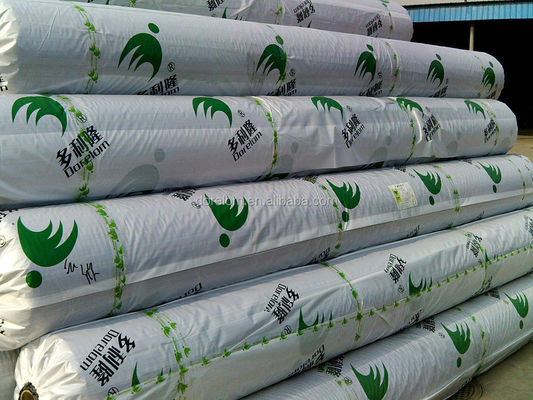 SGS Certified Green Lawn Mini Golf Course Turf Artificial Grass Incluído
