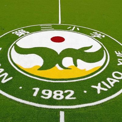 PE PP Recuperação Logotipo de grama artificial Padrão de cor Ralo sintético Mini tapete de futebol