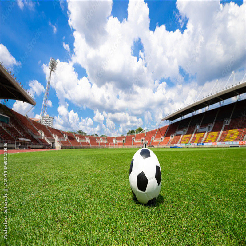 PE Campo de futebol verde de mini campo de futebol de grama artificial para pisos de campo de futebol