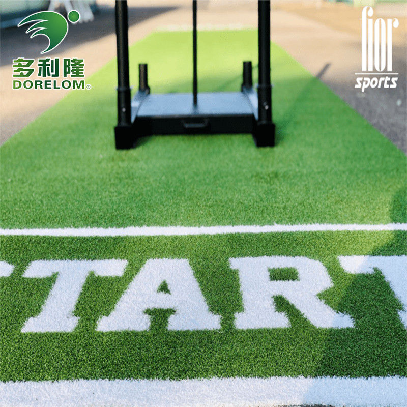 Tapete de piso de ginásio de esportes de jardim com logotipo Dorelom pista de trenó personalizada grama artificial
